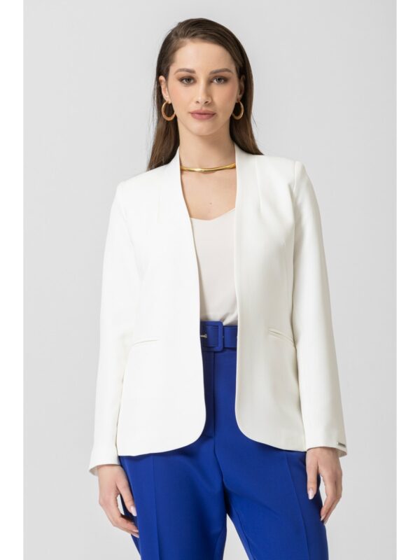 Σακάκι Chrisper blazer - Image 12